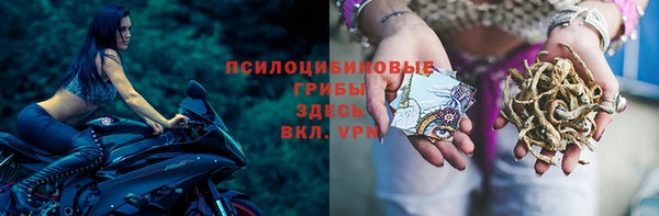 ПСИЛОЦИБИНОВЫЕ ГРИБЫ Алексин