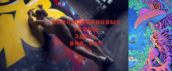 ПСИЛОЦИБИНОВЫЕ ГРИБЫ Алексин