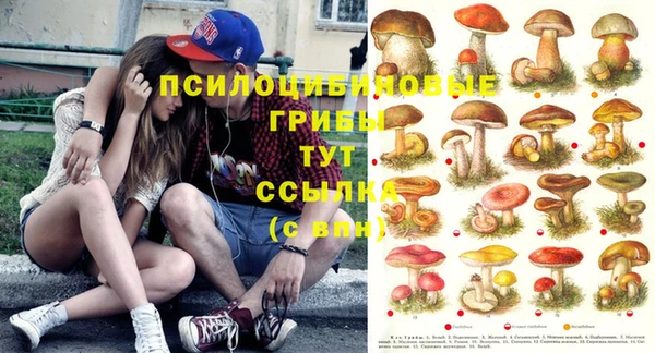 MESCALINE Алзамай